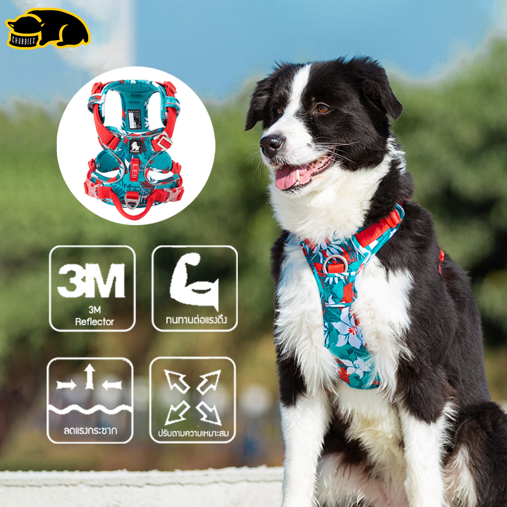 C154 TRUELOVE TH Harness: ปลอกคอรัดอกสุนัข สวย เท่ ดูดี แข็งเเรง ป้องกันอันตรายจากการกระชาก TRUELOVE Pet