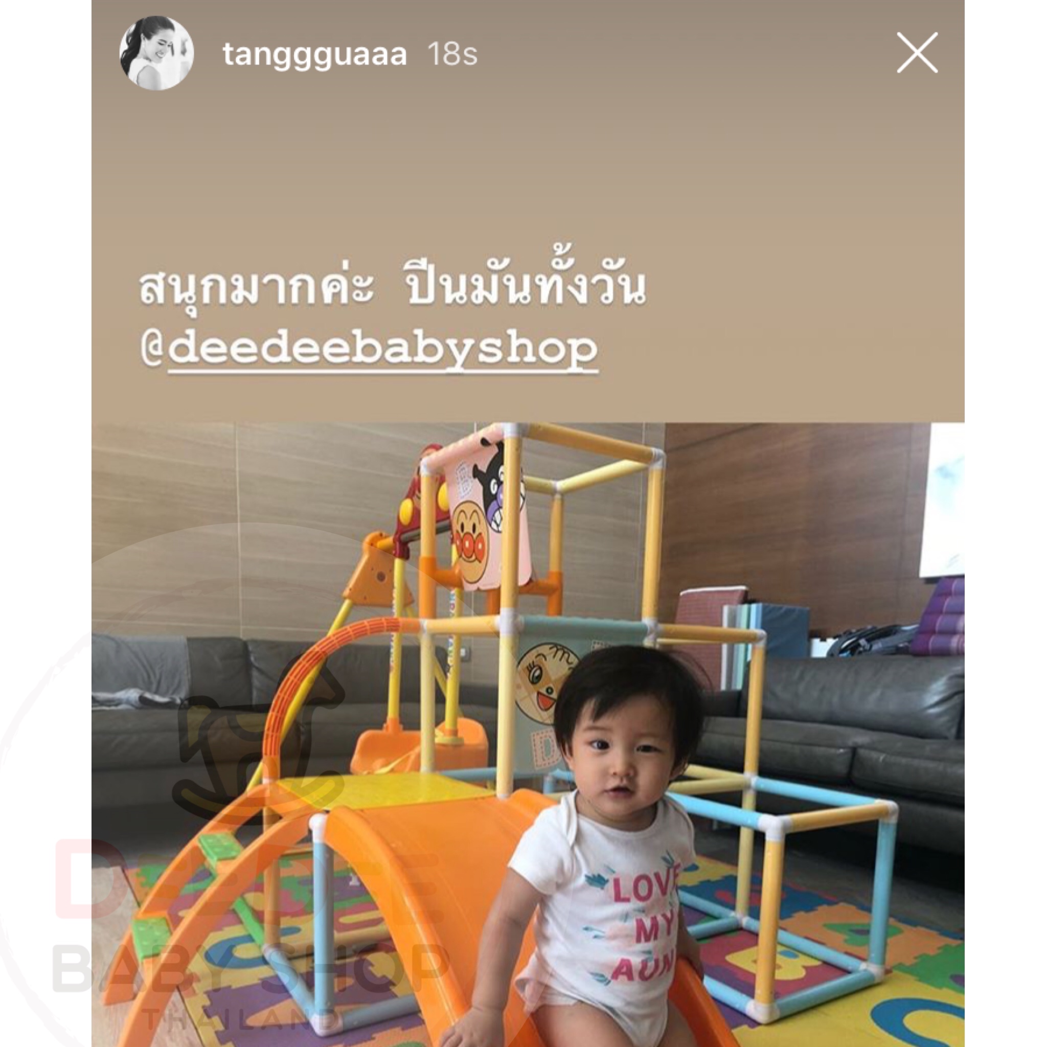 ชุดกิจกรรมปีนป่ายพร้อมชิงช้า Anpanman 4 Way Slide & Swing Jungle Gym
