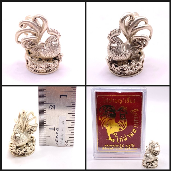 ไก่ฟ้าพญาเลี้ยง ไก่ฟ้ามหาเศรษฐี (เนื้อสัมฤทธิ์ชุบซาตินเงิน) หลวงตาน้อย สำนักสงฆ์ป่าปวงตึก หลวงปู่ศิลา (หลวงปู่มหาศิลา)