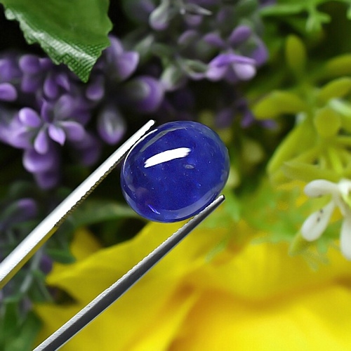 Rare Cabochon Blue Sapphire พลอยไพลินหลังเบี้ย รูปไข่ ขนาดใหญ่ หนัก 17.80 กะรัต สีน้ำเงิน สีสวย ไม่ติดดำ ความโค้งนูนสวย เจียระไนสวย