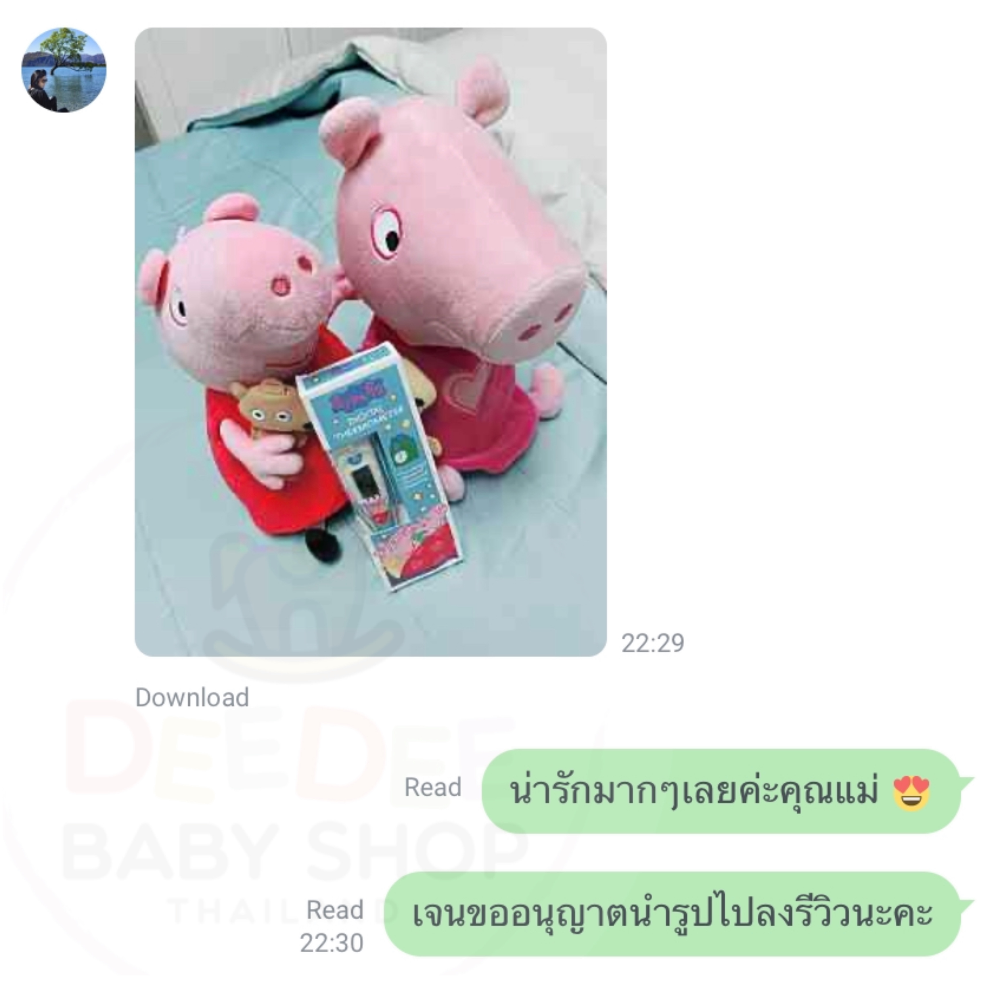ปรอทวัดอุณหภูมิแบบดิจิตอล Jellyworks Paw Patrol Digital Thermometer (Star)