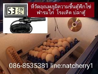 เทอร์โมมิเตอร์ เครื่องวัดอุณหภูมิ แบบสายหัวเซ็นเซอร์ #ตู้ฟักไข่ #ตู้ปลา ตู้เย็น ตู้แช่