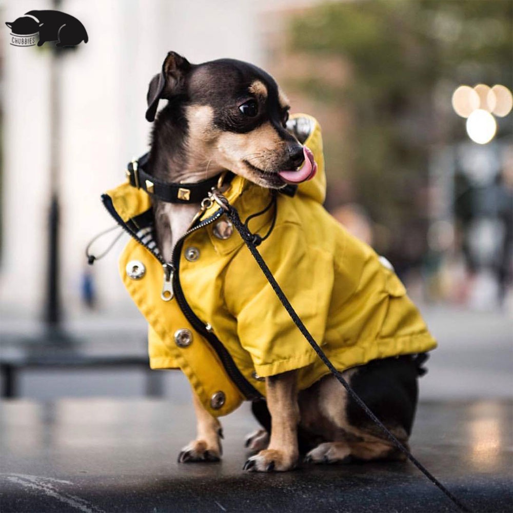 C173 เสื้อกันฝนสุนัข Georgie Yellow Raincoat กันเลอะ ใส่ง่าย กันฝนได้ดี เสื้อกันฝนสัตว์เลี้ยง เท่