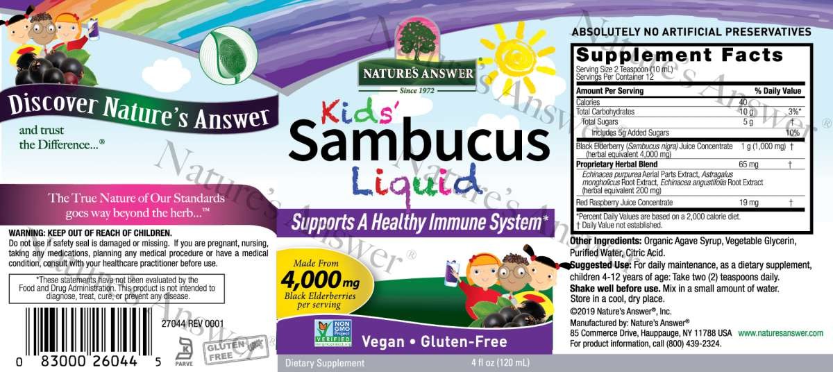 วิตามินเสริมภูมิคุ้มกันสำหรับเด็ก Nature's Answer Sambucus Kid's Formula - Infused with Echinacea & Astragalus (240ml.)