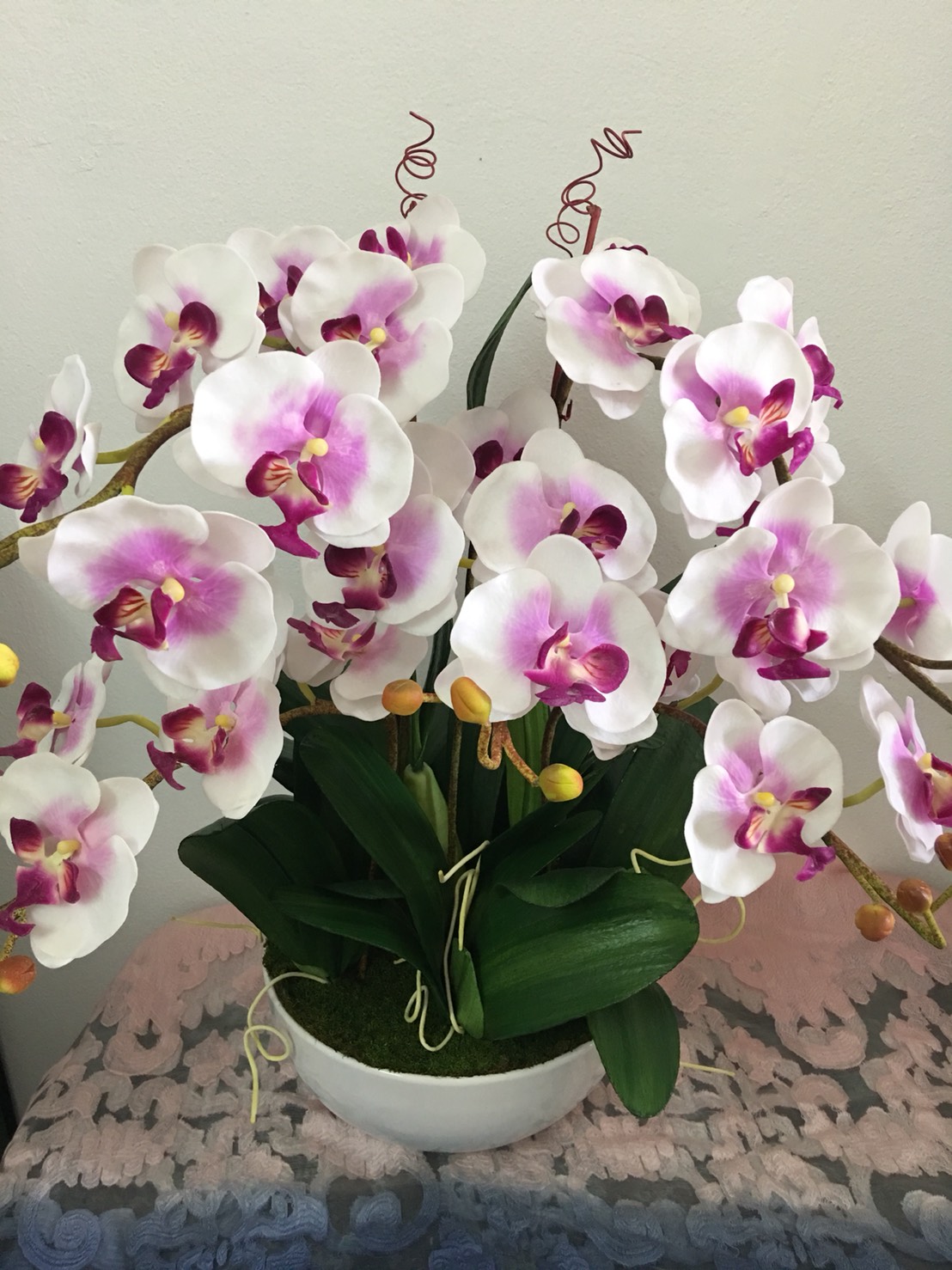 ดอกกล้วยไม้ ช่อใหญ่ สีชมพู่ขาว (สูง23นิ้ว กว้าง16นิ้ว) พร้อมกระถาง