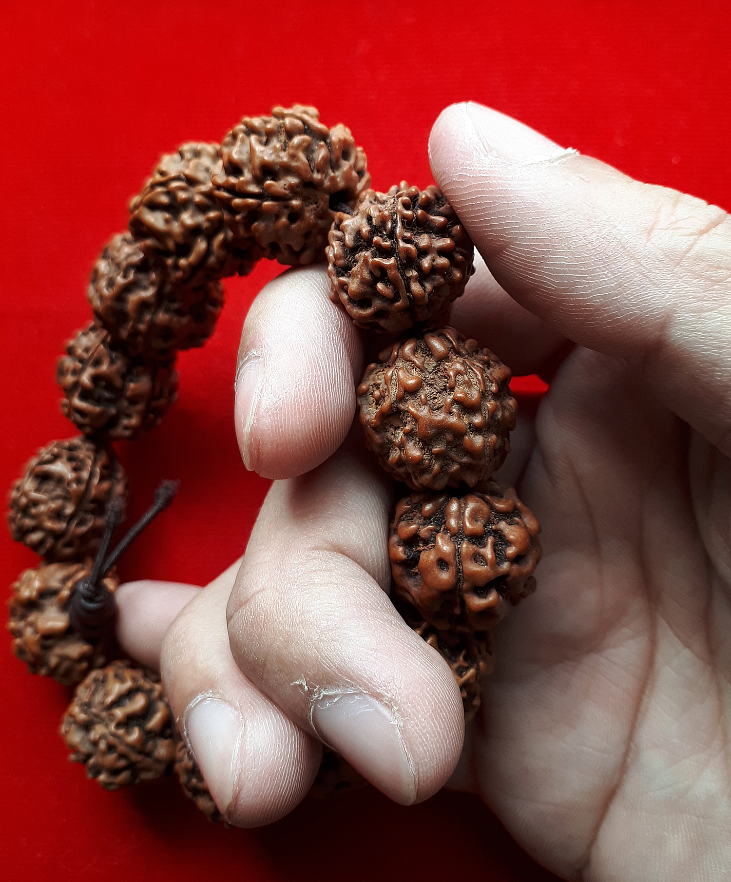 สร้อยข้อมือ ประคํา น้ำตาพระศิวะ เมล็ดรุทรักษะ ของแท้นำเข้าจาก อินเดีย (ขายปลีก ขายส่ง)