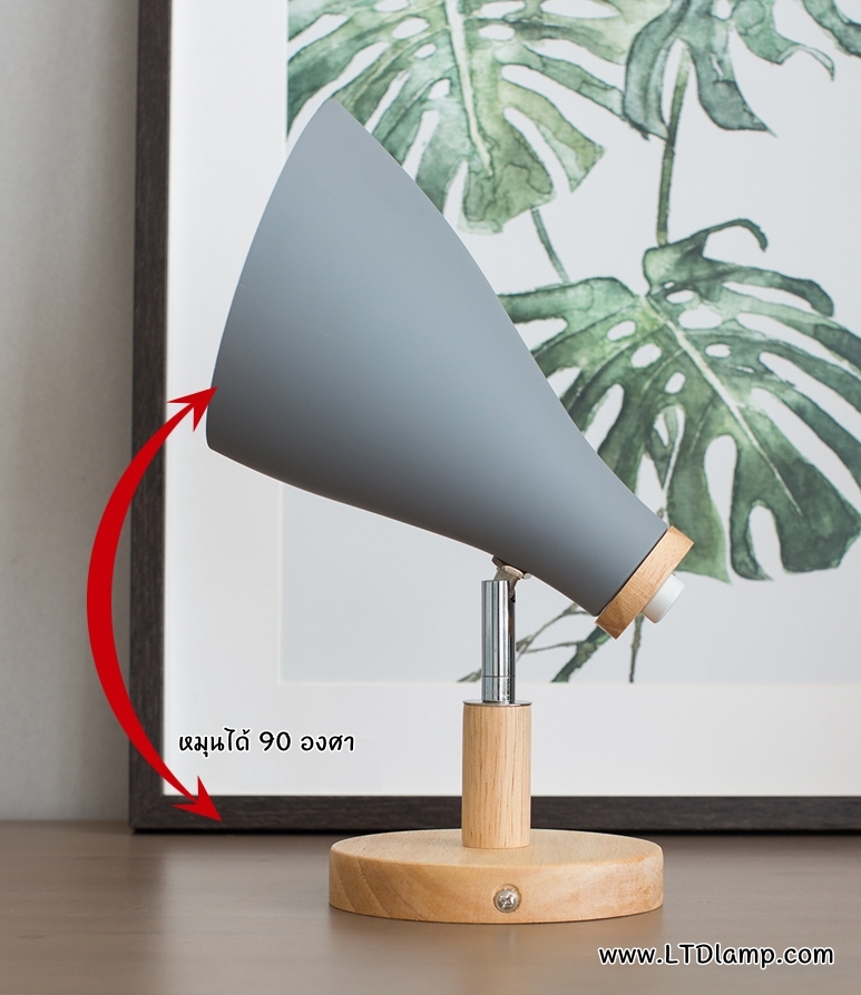 โคมไฟแต่งร้านอาหาร โคมไฟแต่งร้านอาหาร