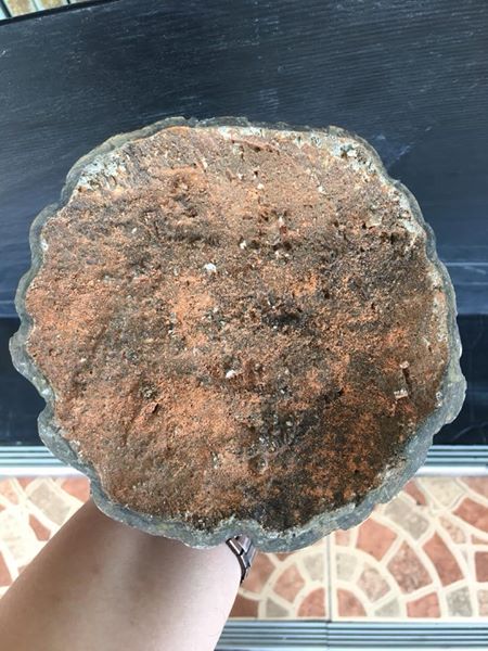 รูปหล่อ พระพุทธรูปยืน ปางพระลีลา ปางประทานพร (สูง16นิ้ว) เนื้อทองเหลือง