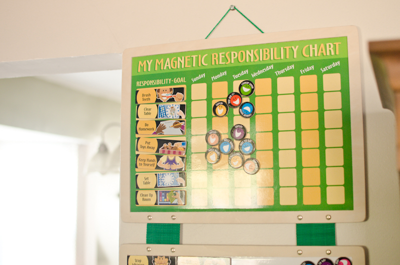 แผ่นกระดานแม่เหล็กพร้อมป้ายหน้าที่ความรับผิดชอบ Melissa & Doug Magnetic Responsibility Chart