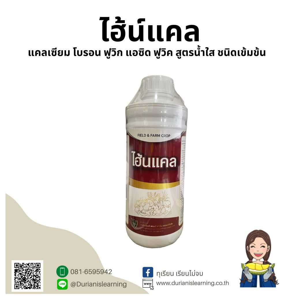 ไฮ้น์ แคล ลดการหลุดร่วงของดอกและขั้วผล ผลแน่น น้ำหนักดี