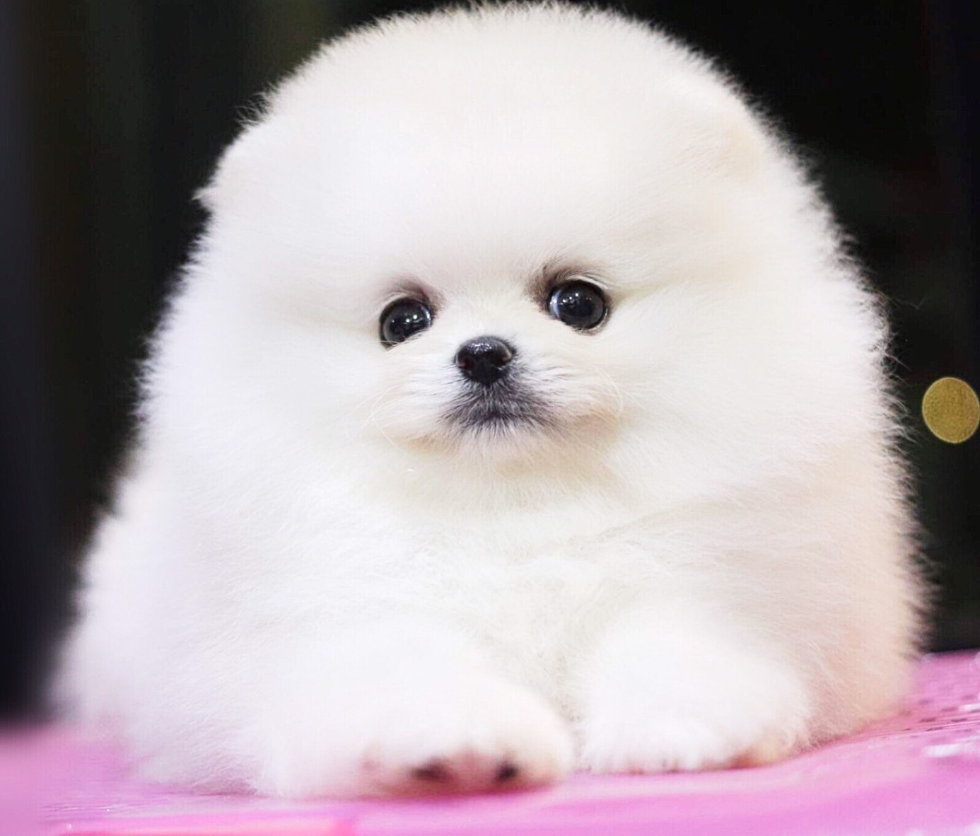 ย้ายบ้านแล้ว ผญ