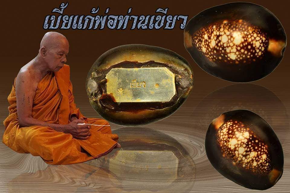 เบี้ยแก้(ด้านในตัวเบี้ยใสปรอทป่า อุดด้วยชันณงค์) - พ่อท่านเขียว(หลวงพ่อเขียว) วัดห้วยเงาะ