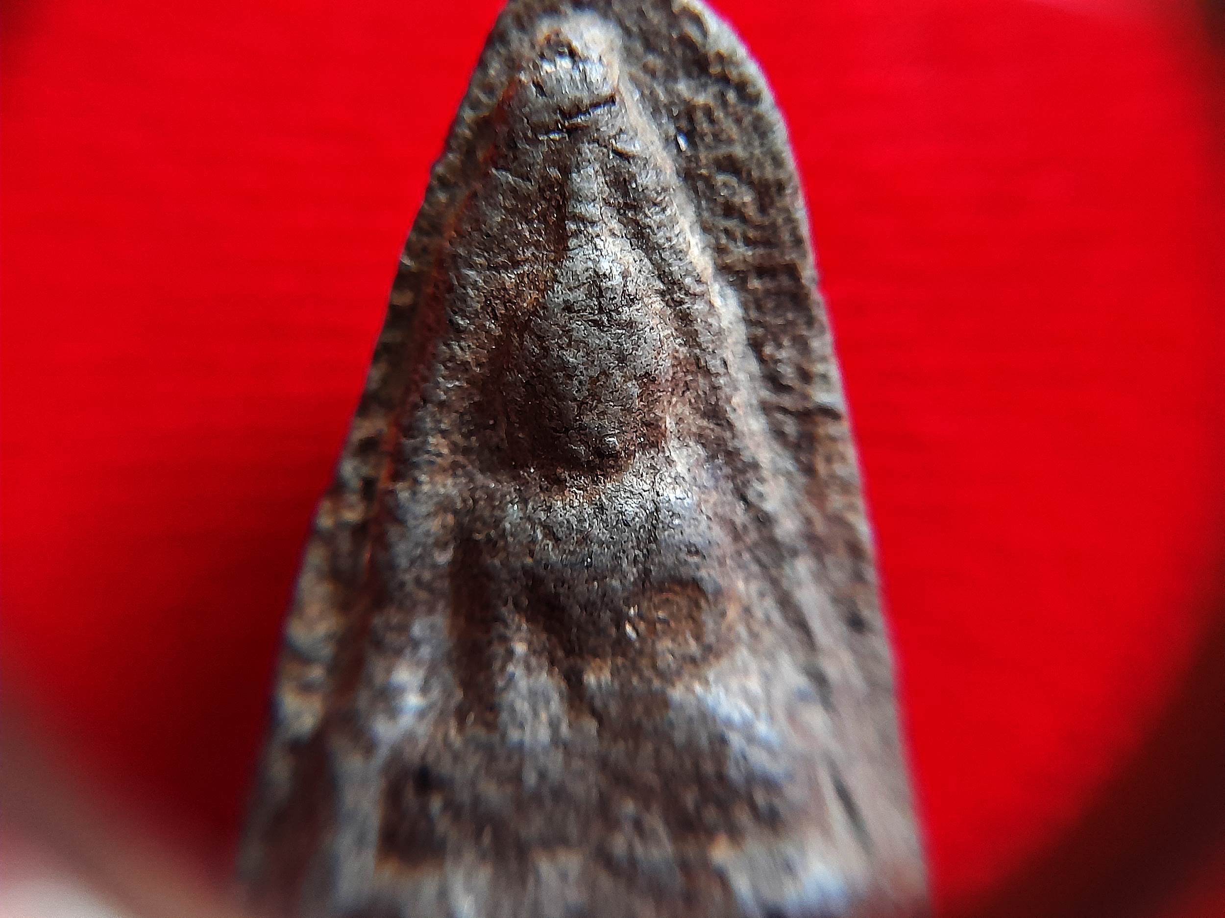 พระนางพญา พระกรุ ดอนลาน (พระแตกกรุเก่าโบราณ) กรุ พิมพ์ เดียวกันกับ ที่ หลวงปู่ เดินหน อิเกสาโร เชิญมา #รับประกันแท้ - มีลงในหนังสือ