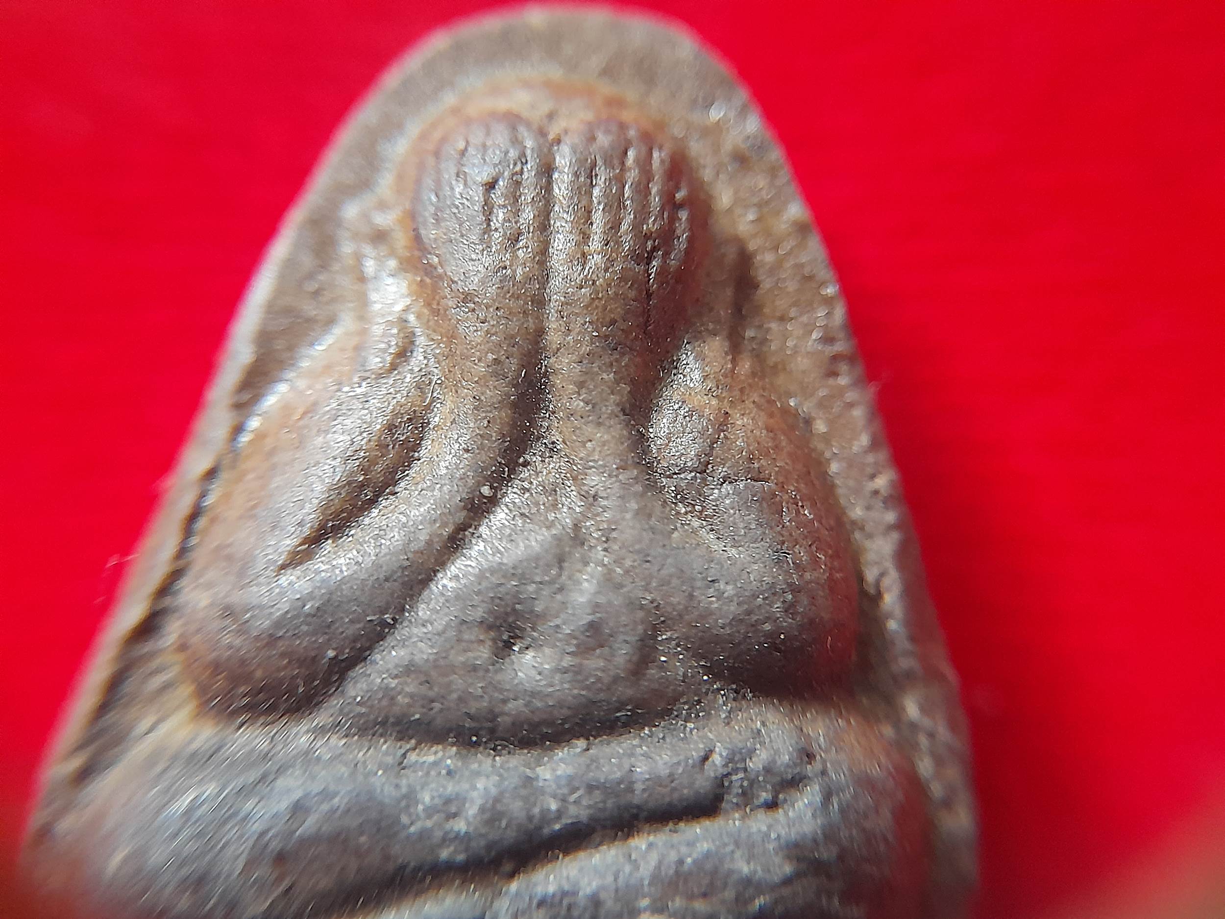 พระปิดตา หลัง ครึ่งองค์หลวงพ่อยงยุทธ เนื้อผง (แก่มวลสาร หลวงพ่อแก้ว วัดเครือวัลย์) #รับประกันแท้และทัน - หลวงพ่อยงยุทธ วัดเขาไม้แดง จ.ชลบุรี