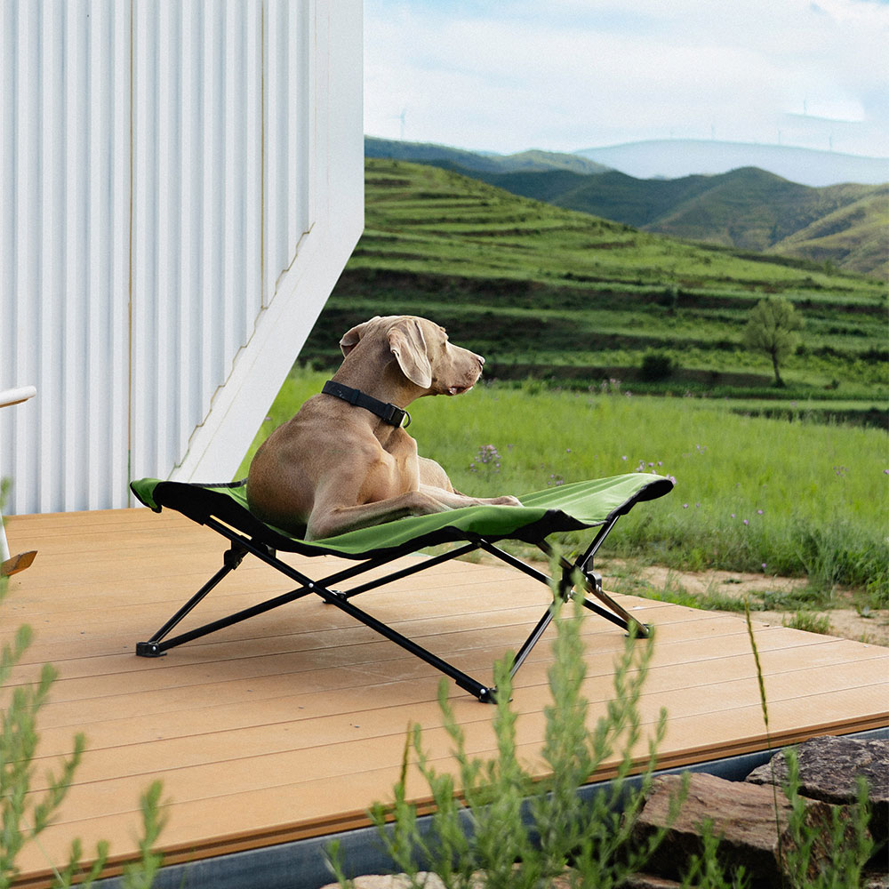 C264 เตียงนอนใหญ่ สุนัข แมว แคมป์ปิ้ง 75x75x25 cm พับได้ แบบพกพา Indoor Outdoor Pet Bed Camping Bed