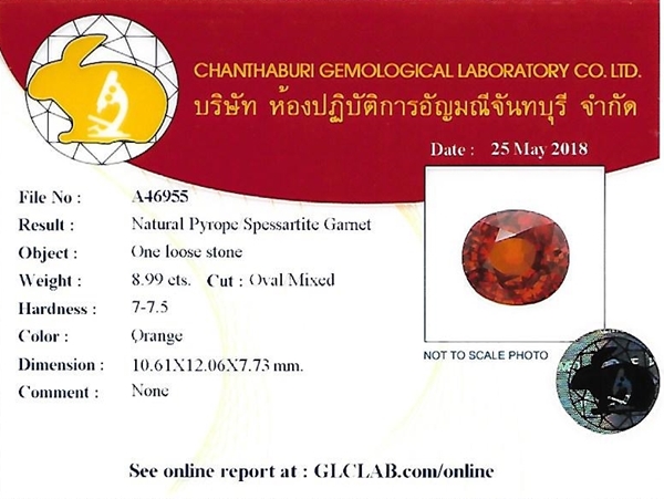 ขายพลอยสเปสซาไทต์ การ์เนต สีส้ม ไซส์โต 8.99 ct เลขกะรัตสวยเป็นมงคล หายากสุดๆ