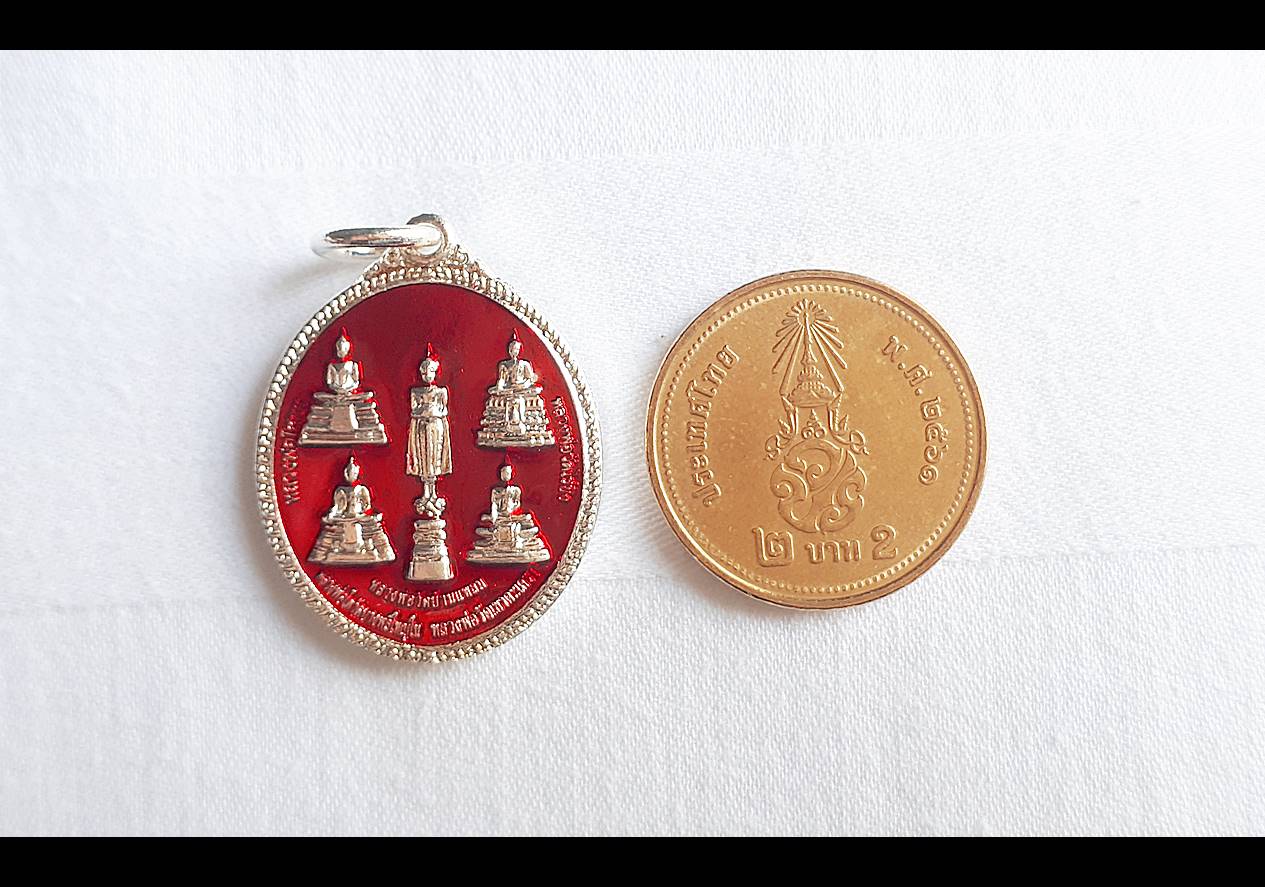 เหรียญหลวงพ่อ 5พี่น้อง เนื้อกระไหล่เงินลงยาสีแดง ปี2559 (สร้างปลุกเสก ออกบูชา วัดเขาตะเครา)