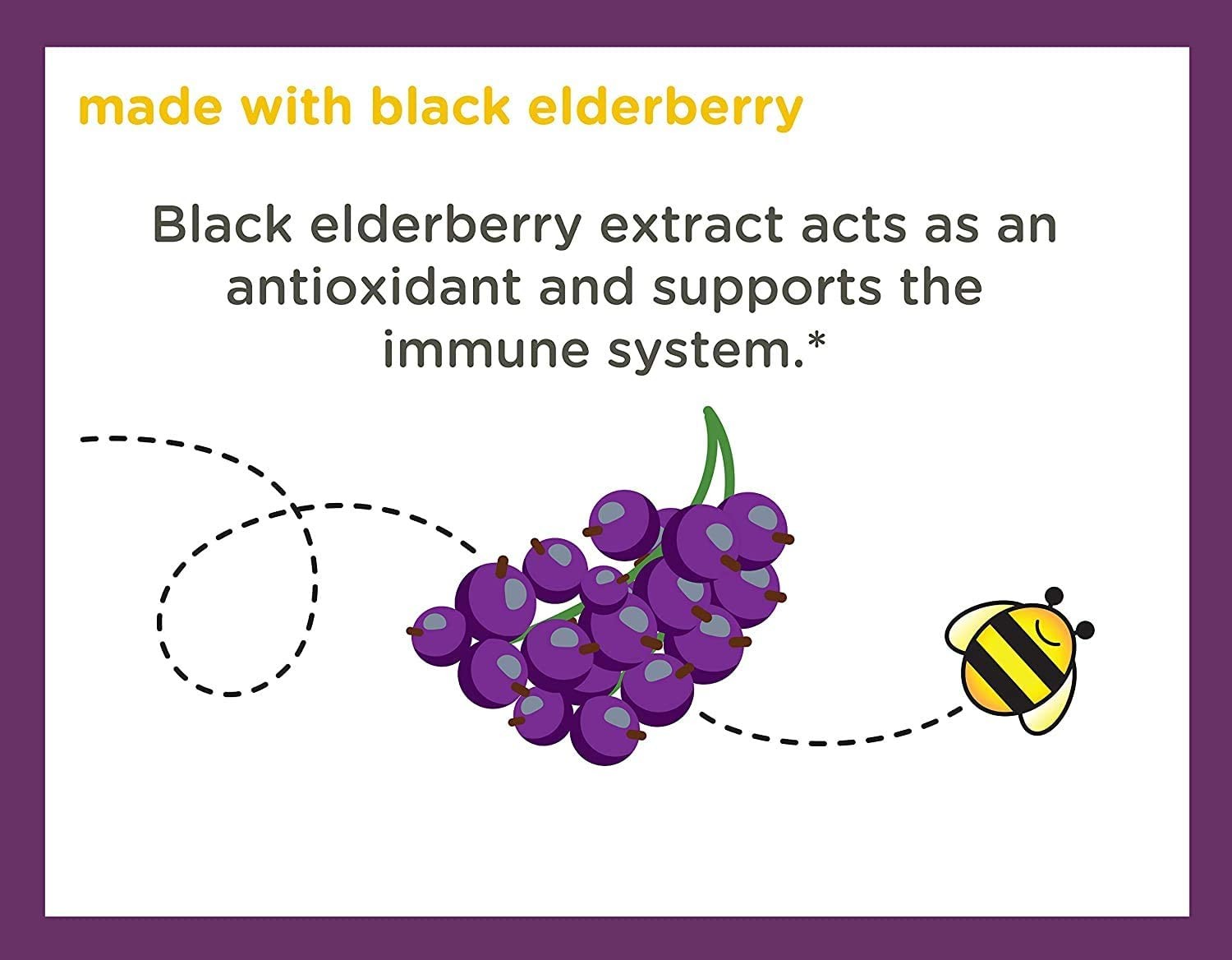 วิตามินเสริมสร้างภูมิคุ้มกันสำหรับเด็ก ZARBEE'S Naturals Black Elderberry Syrup Immune Support