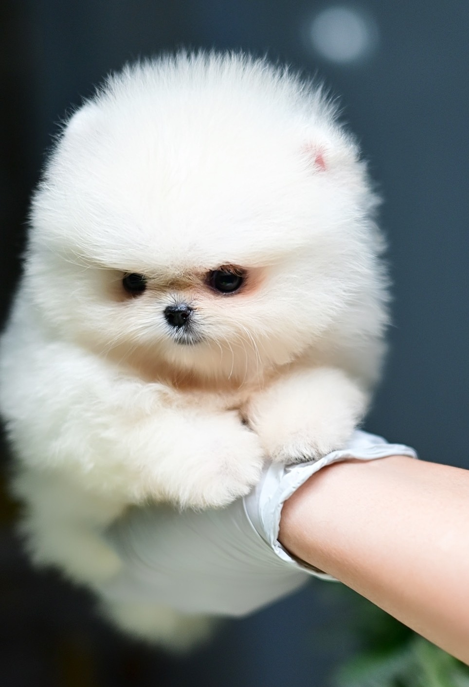 ย้ายบ้านแล้ว