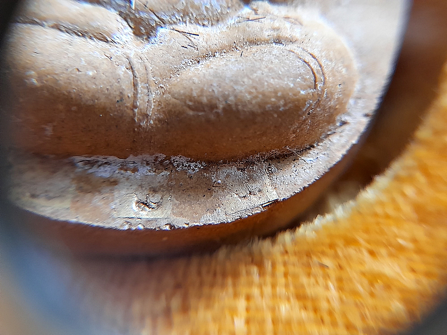 พระปิดตา จัมโบ้ ชุดพิเศษ5องค์ #ตะกรุดทองคำแท้ #ตะกรุดเงินแท้ (โรยมวลสารผงเก่าบางขุนพรหม โรงผงเก่าหลวงปู่โต๊ะ วัดพระดูฉิมพลี) ปี2540 #รับประกันแท้ - ทันยุคปลุกเสกโดย หลวงปู่คง หลวงพ่อคูณ หลวงปู่แสง หลวงปู่ทอง หลวงพ่อพูล หลวงปู่ทิม หลวงปู่จอย หลวงพ่อรวย หลว