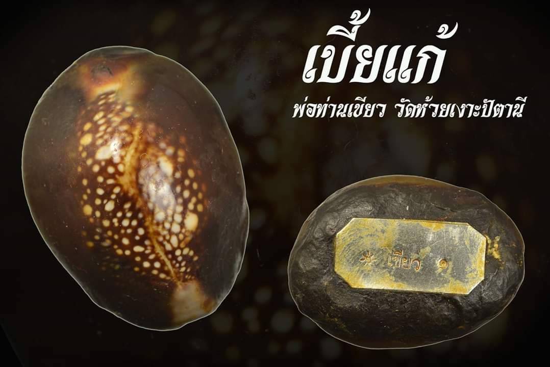 เบี้ยแก้(ด้านในตัวเบี้ยใสปรอทป่า อุดด้วยชันณงค์) - พ่อท่านเขียว(หลวงพ่อเขียว) วัดห้วยเงาะ