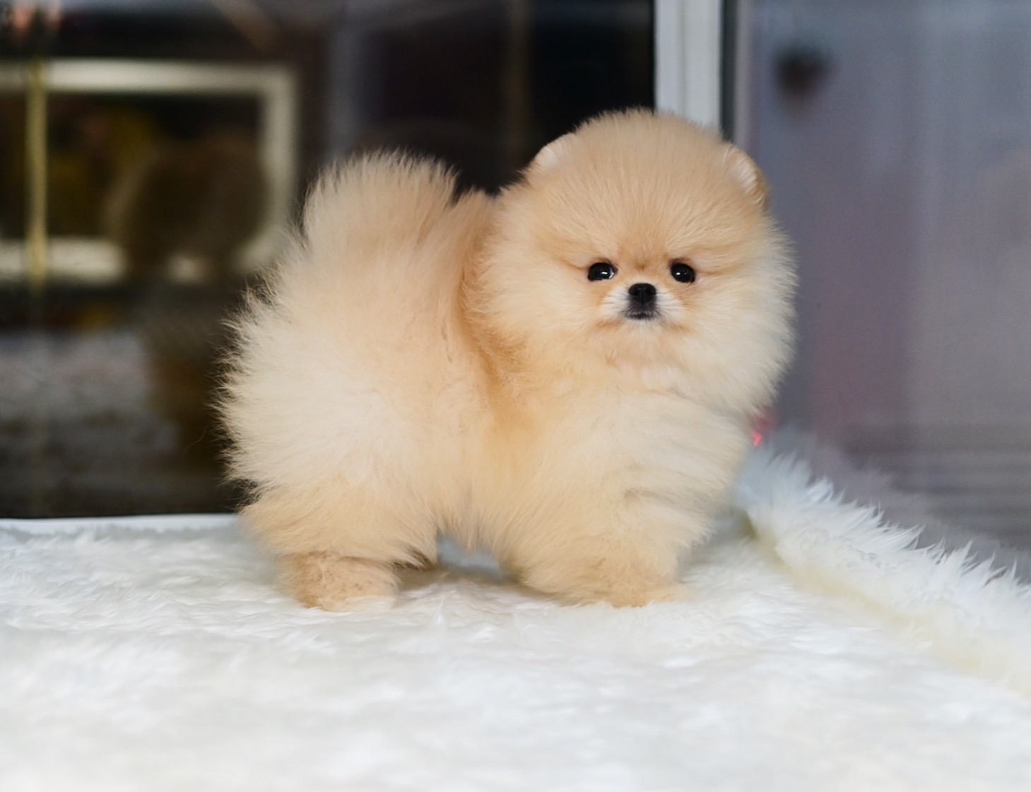 ย้ายบ้านแล้ว