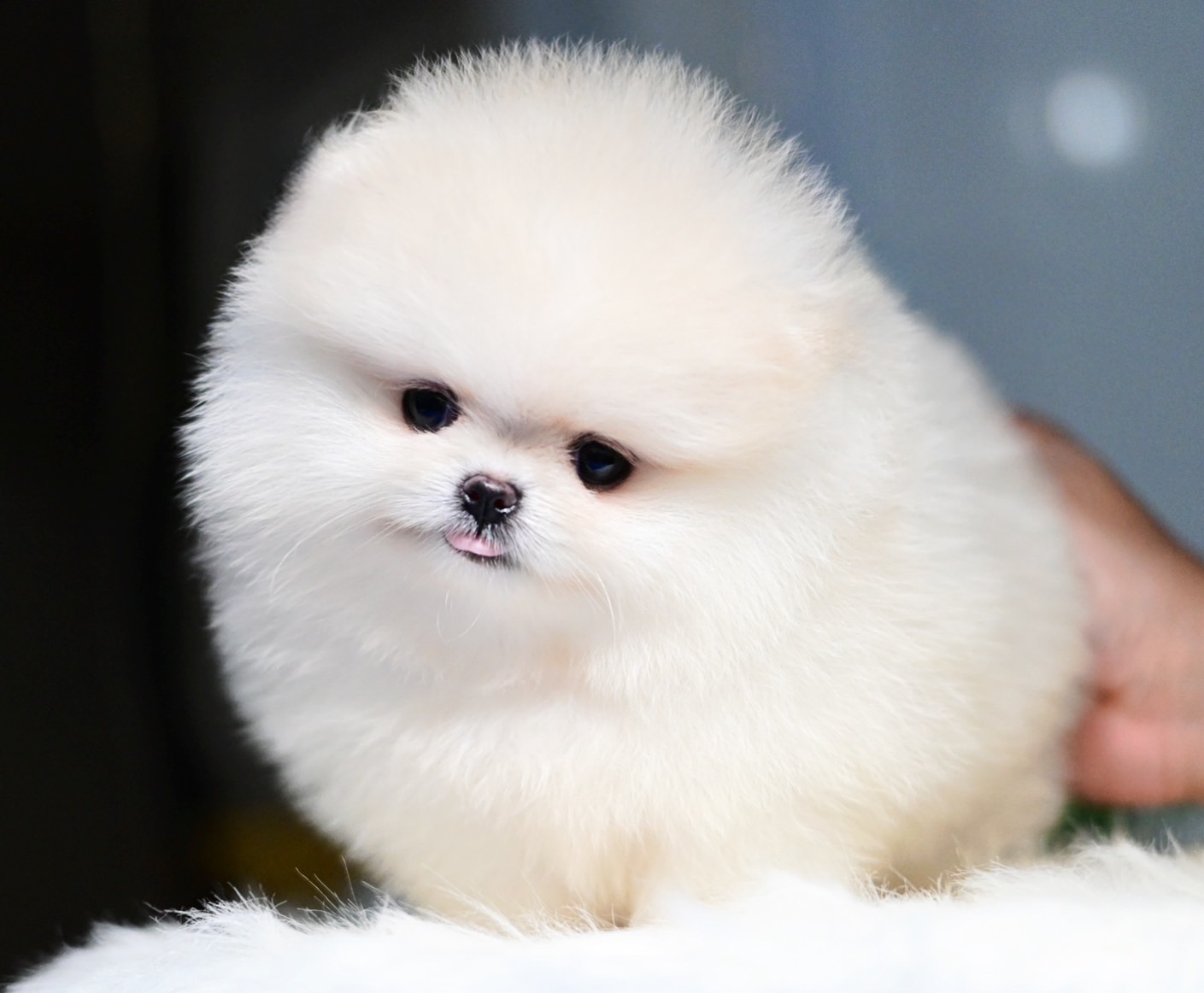 ย้ายบ้านแล้ว