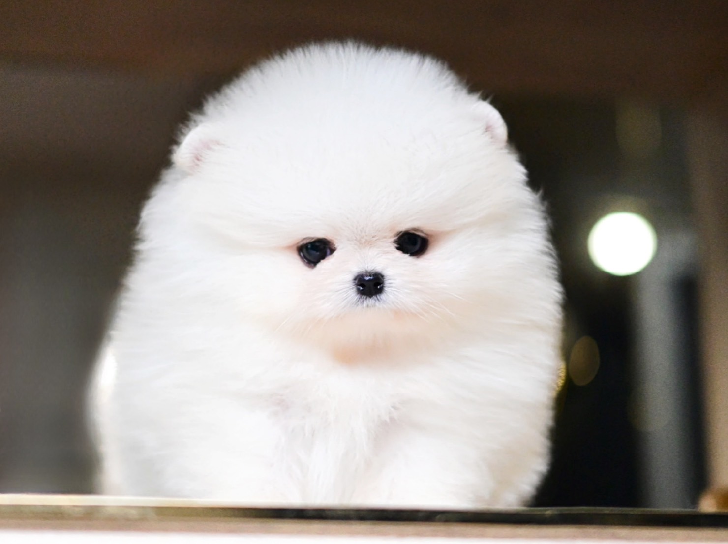 ย้ายบ้านแล้ว