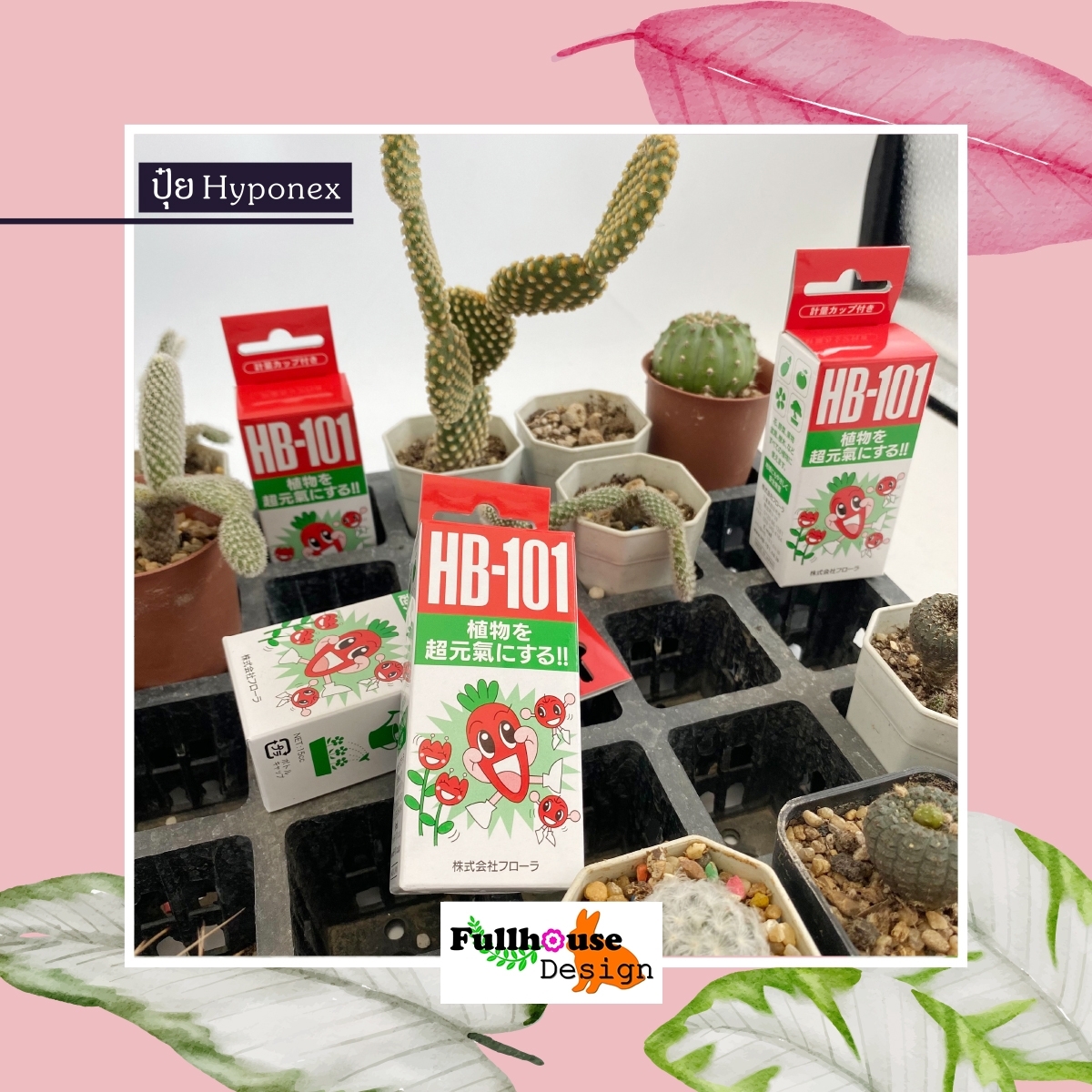 ปุ๋ยน้ำHB-101 อาหารเสริมพืช 15CC. วิตมินพืช สารสกัดชีวภาพ สูตรลับจากธรรมชาติ นำเข้าจากประเทศญี่ปุ่นของแท้ 100%