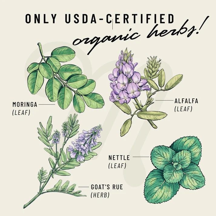 วิตามินกระตุ้นการผลิตน้ำนมและบำรุงคุณภาพน้ำนมสำหรับคุณแม่ Legendairy Milk Cash Cow (180 Capsules)