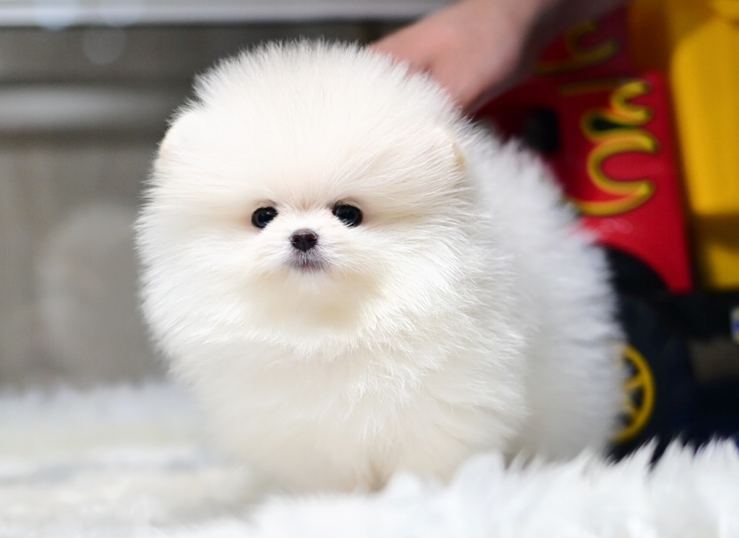 ย้ายบ้านแล้ว