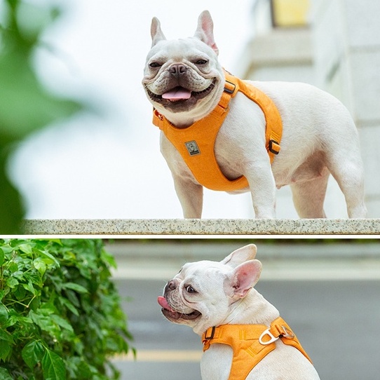 C179 TRUELOVE TH Light Comfortable Harness ปลอกคอรัดอกสุนัข ใส่แล้วแนบตัว วัสดุรักโลก ไม่ระคายเคืองผิว ใส่สบาย