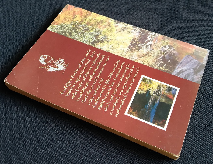 ข้างหลังภาพ