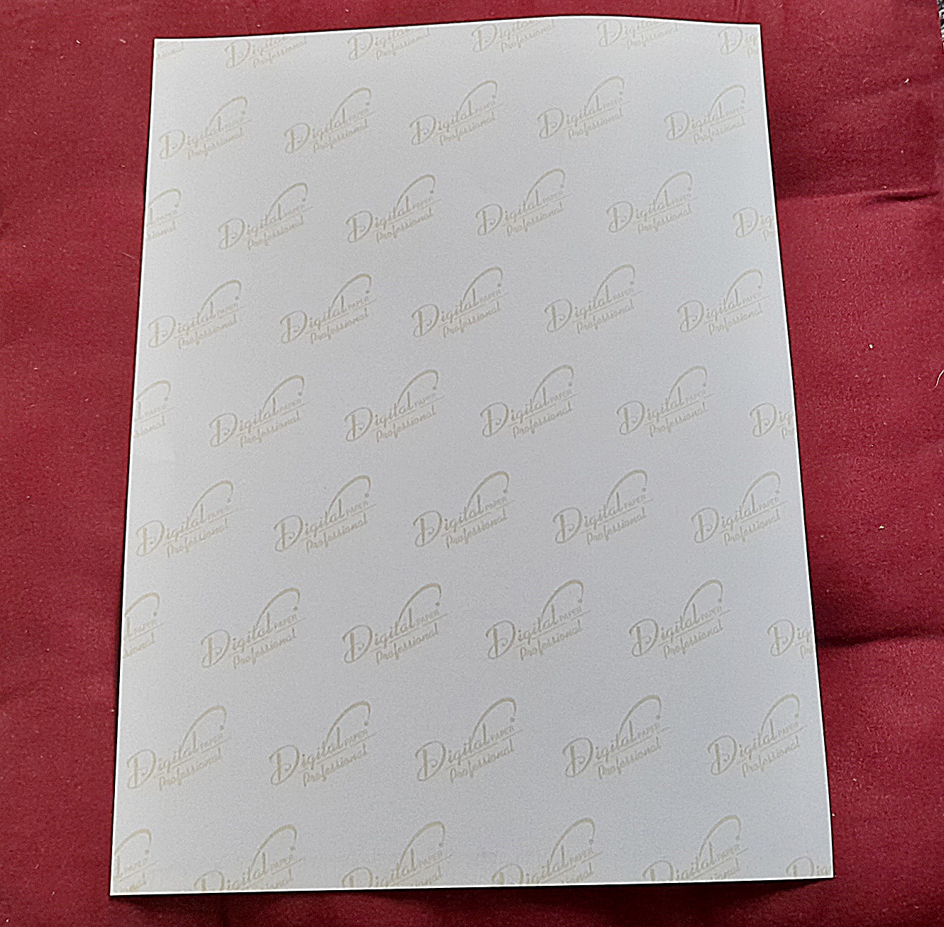 รูปภาพ หลวงปู่รอด วัดบางน้ำวน (เต็มองค์ สีซีเปีย ขนาด12x16นิ้ว) ปี2562 #รับประกันแท้