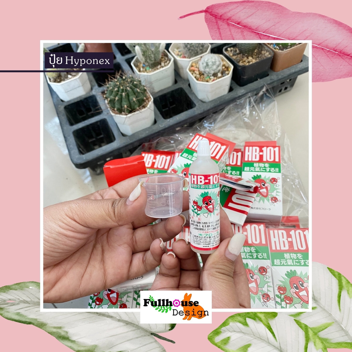 ปุ๋ยน้ำHB-101 อาหารเสริมพืช 15CC. วิตมินพืช สารสกัดชีวภาพ สูตรลับจากธรรมชาติ นำเข้าจากประเทศญี่ปุ่นของแท้ 100%