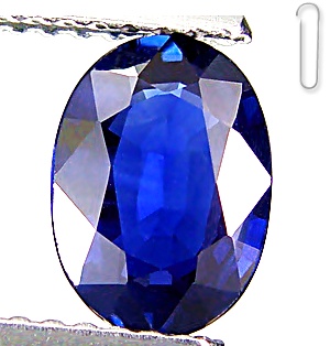 พลอยไพลิน (Blue Sapphire) รูปไข่ น้ำหนัก 1.23 กะรัต ขนาดตามใบเซอร์ 5.80x8.06x2.87 มิล สีน้ำเงินกำมะหยี่สวย สถาบันให้สีน้ำเงิน ไฟดี เจียระไนสวย