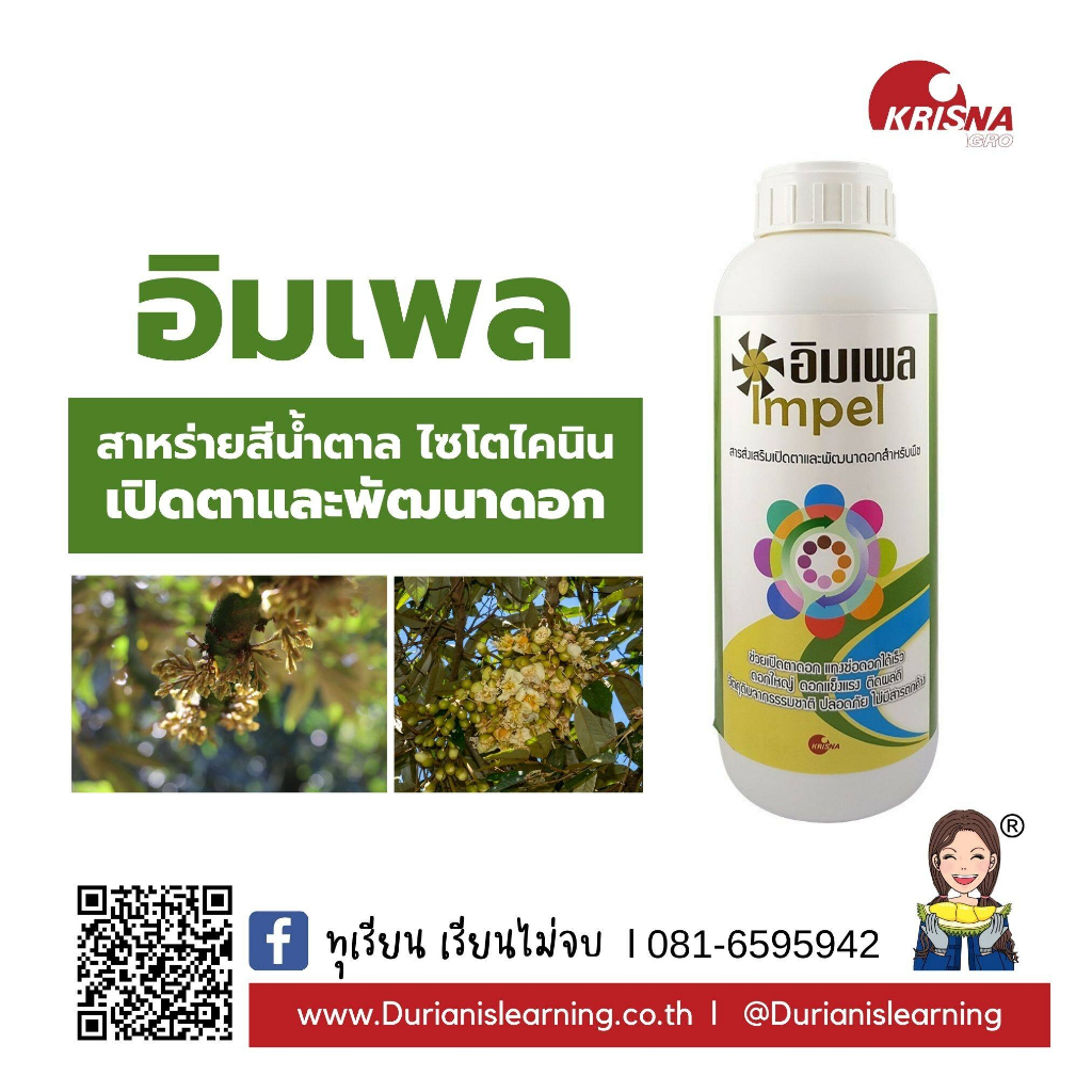 อิมเพล สาหร่ายสูตรเปิดตาดอก ใช้ในการเปิดตาดอกทุเรียน