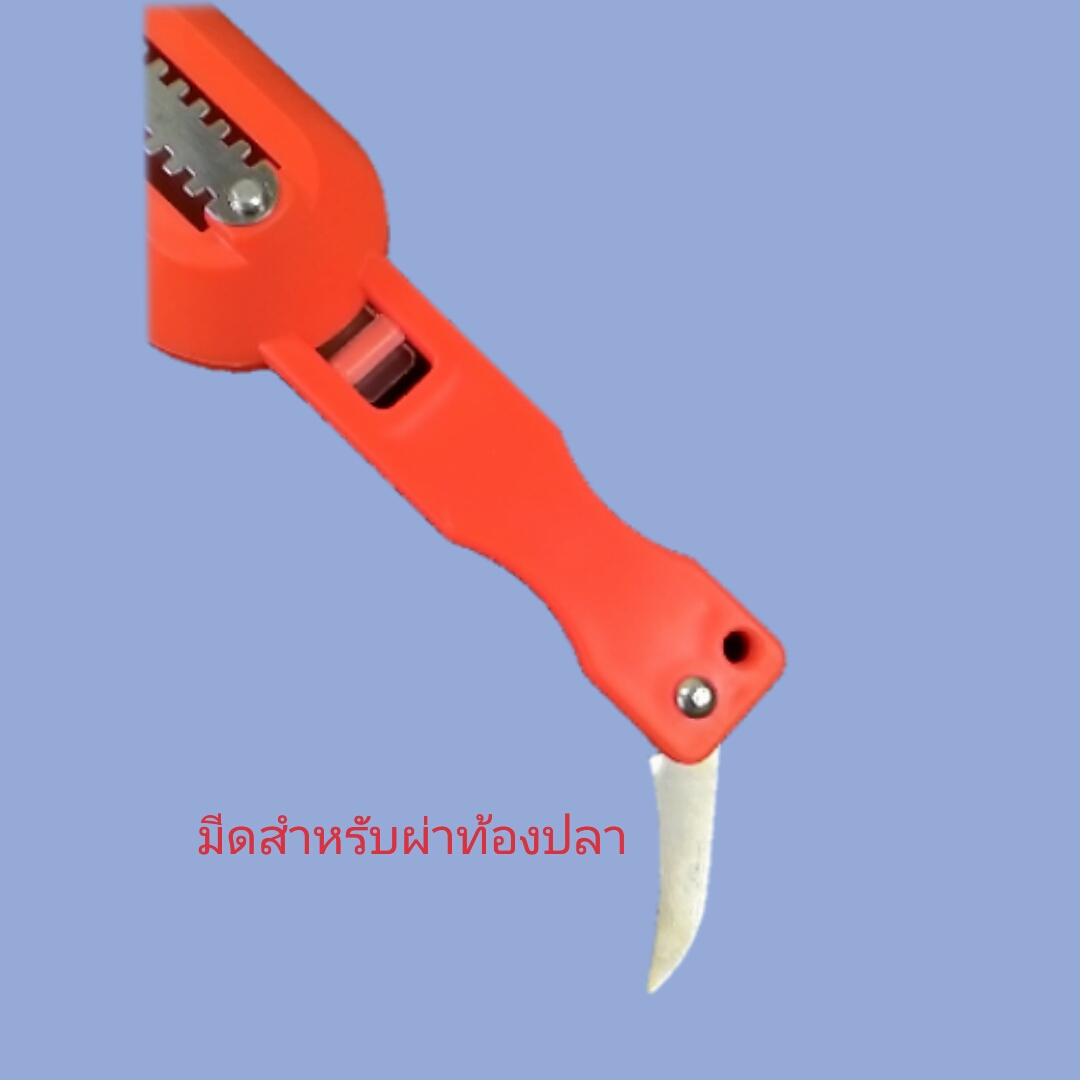 ที่ขอดเกล็ดปลา