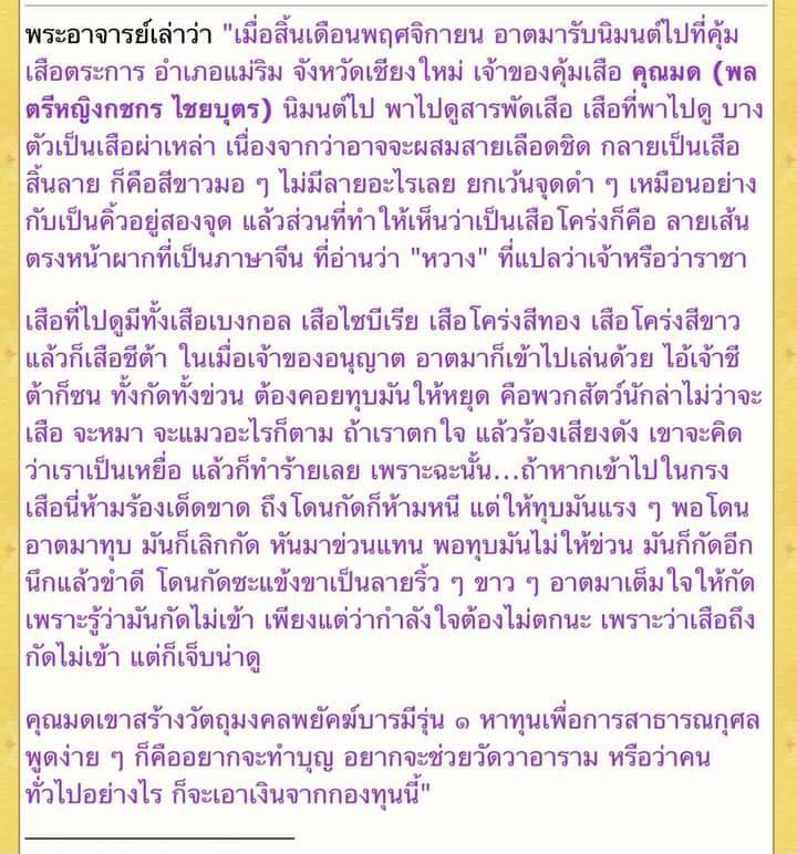 หัวเสือ ลูกอม เนื้อโลหะผิวรุ้ง (#พิธีพยัคฆ์บารมี #เป็นเมตตาและอำนาจ) พ่อปู่ฤาษีเจ้าสมิงพรายสงเคราะห์ ปี2563 - หลวงพ่อเล็ก วัดท่าขนุน