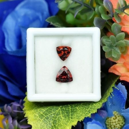 Malaya Garnet พลอยมาลายาการ์เน็ต รูปสามเหลี่ยม จำนวน 2 เม็ด น้ำหนักรวม 2.30 กะรัต สีส้มเข้ม ไฟเต็มเม็ด เนื้อสะอาด