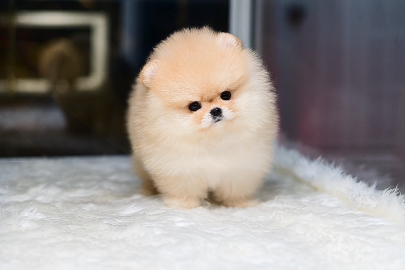 ย้ายบ้านแล้ว