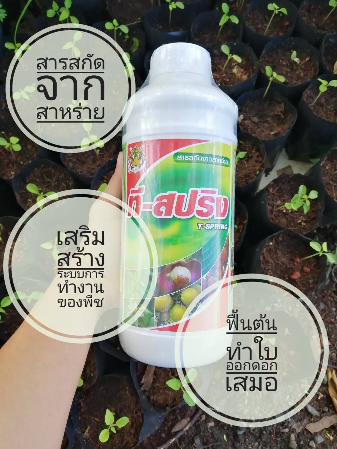 ที-ซีรีย์ อาหารพืช