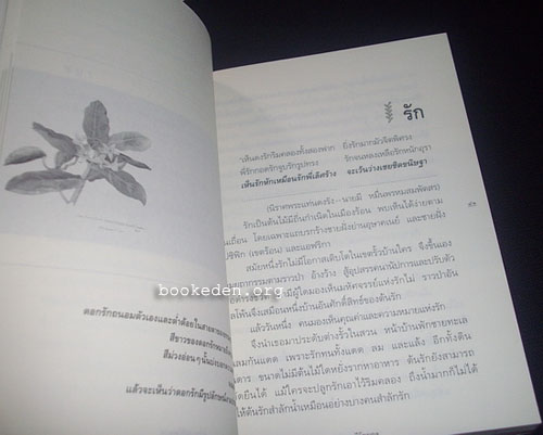 อารมณ์ดอกไม้