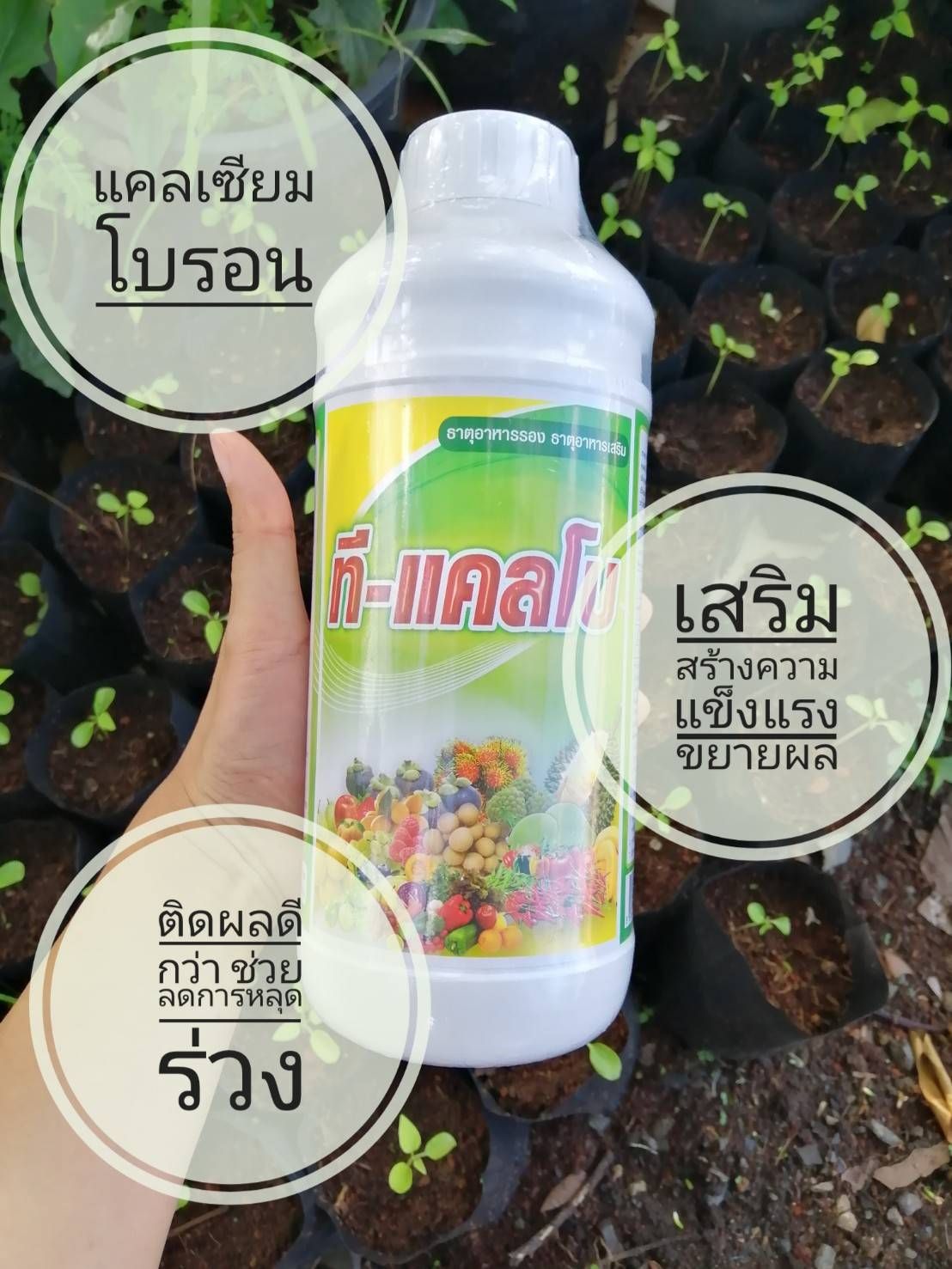 ที-ซีรีย์ อาหารพืช
