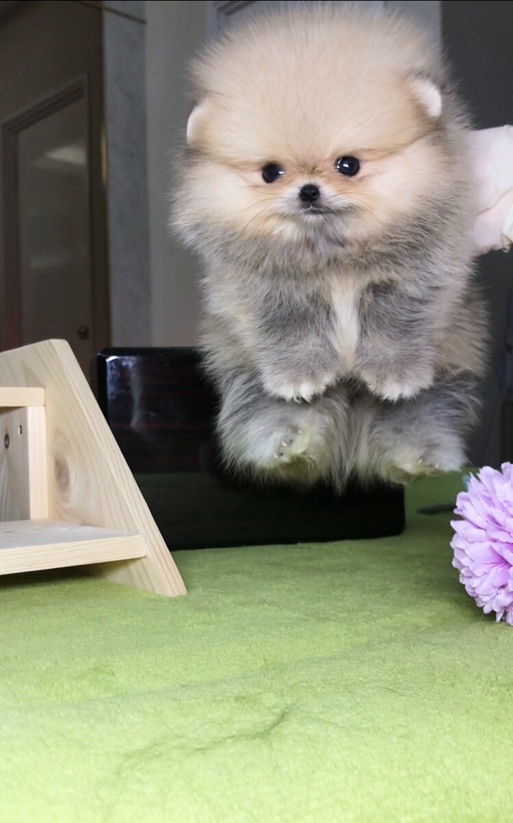 ย้ายบ้านแล้ว ผช