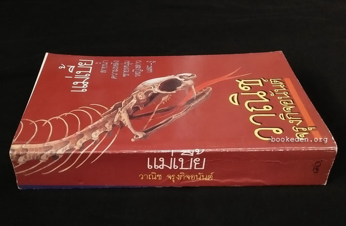 แม่เบี้ย