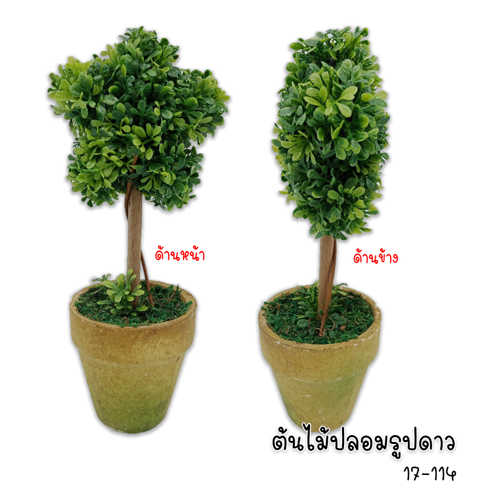 กระถางดอกไม้ รูปดาว