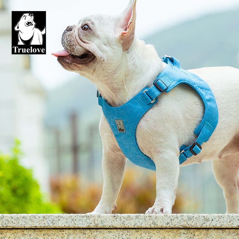 C179 TRUELOVE TH Light Comfortable Harness ปลอกคอรัดอกสุนัข ใส่แล้วแนบตัว วัสดุรักโลก ไม่ระคายเคืองผิว ใส่สบาย