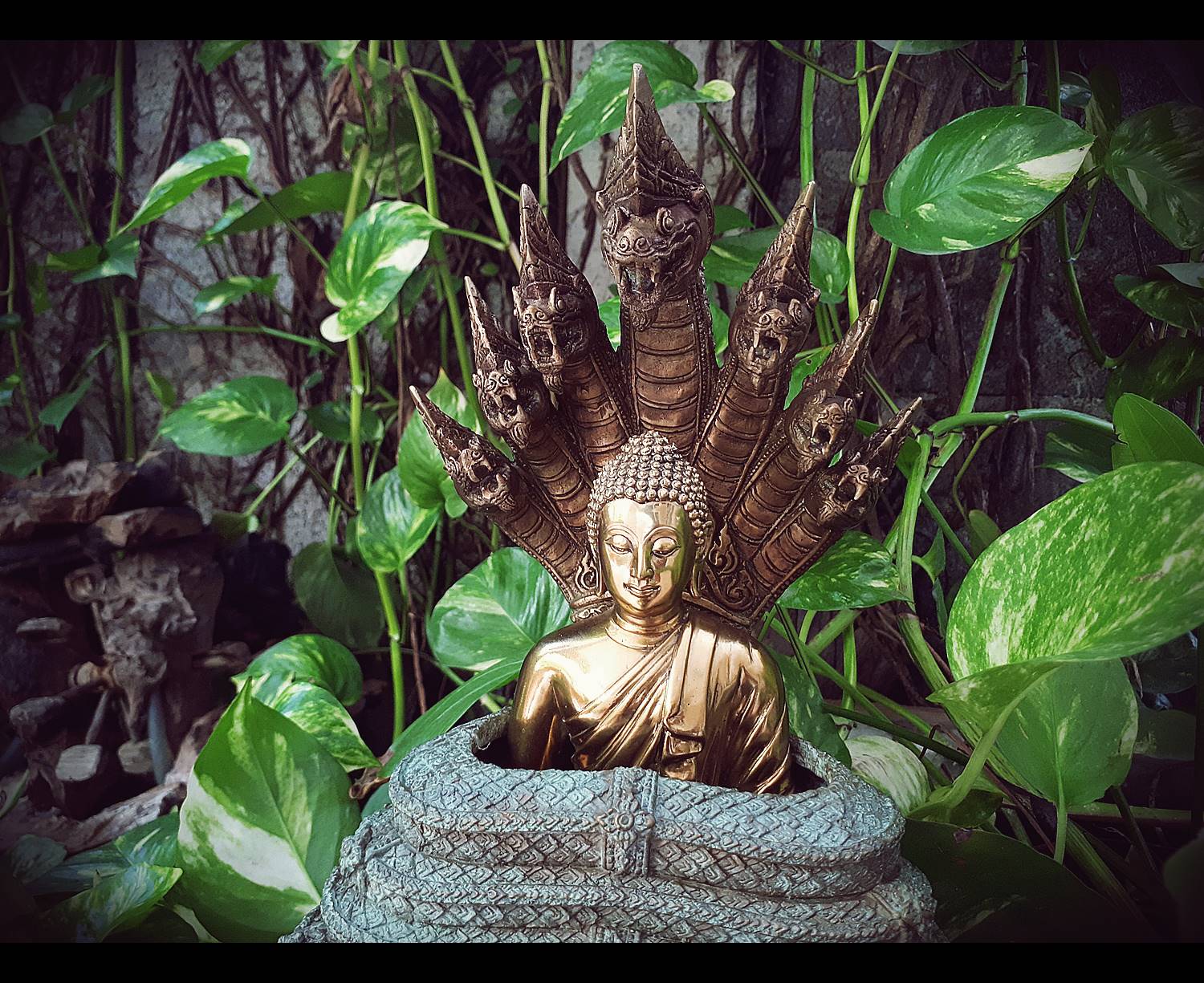 รูปหล่อ พระพุทธเจ้า ปางพระนาคปรก (พญานาค7หัว) เนื้อทองเหลือง ปี2562 (พระหน้าตัก5นิ้ว ฐาน7นิ้ว สูง8นิ้ว) (เทคนิคสำสีเก่า แยกส่วนประกอบได้) #รับประกันแท้ หลวงพ่อเล็ก วัดท่าขนุน ร่วมพิธีปลุกเสกรวมพระลูกศิษย์ในสายของหลวงพ่อฤาษี วัดท่าซุง ณ วัดเขาวงศ์ จ.สระบุร