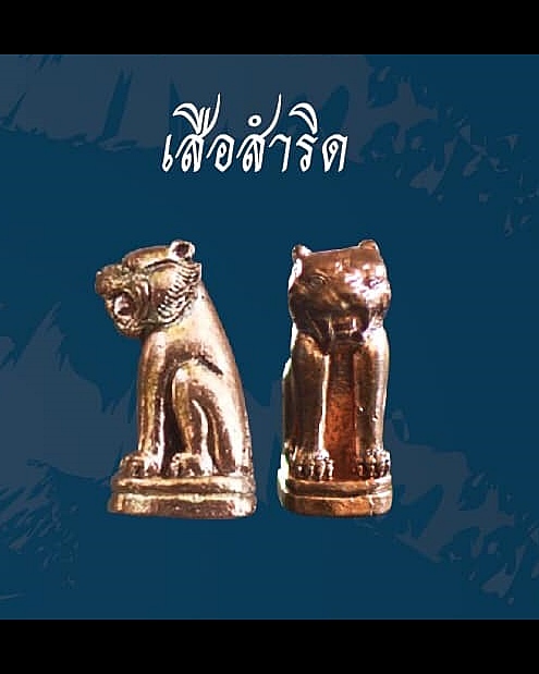 เสือ เนื้อโลหะสำริด ใหญ่ (#พิธีพยัคฆ์บารมี #เป็นเมตตาและอำนาจ) พ่อปู่ฤาษีเจ้าสมิงพรายสงเคราะห์ ปี2563 - หลวงพ่อเล็ก วัดท่าขนุน